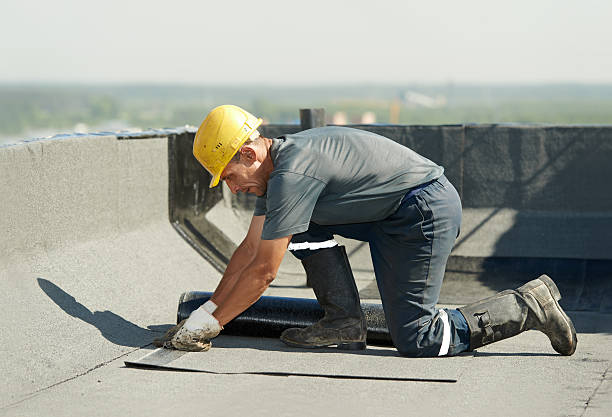 Best Geographic-Specific Insulation Services in Callaway, FL