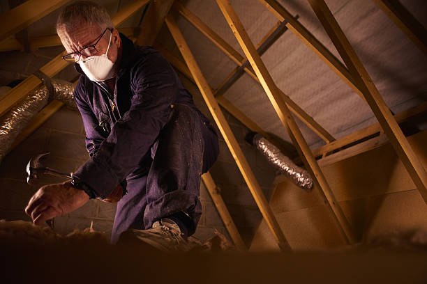 Best DIY Insulation Kits and Guidance in Callaway, FL